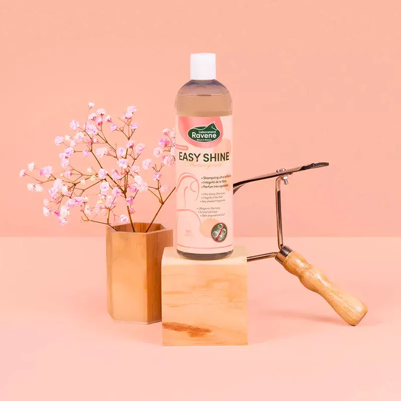 Ravene - Shampooing raviveur de teinte Easy Shine – Image 2